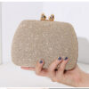 Elegant Evening Clutch Bag for Women in bangladesh 2