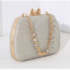 Elegant Evening Clutch Bag for Women in bangladesh 9